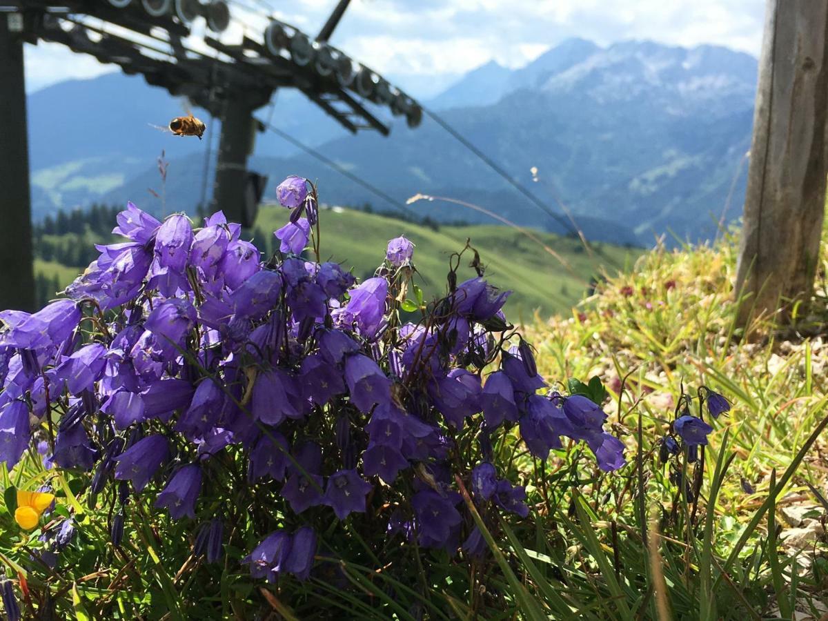 Ferienwohnung Kogelblick Gosau Exteriér fotografie