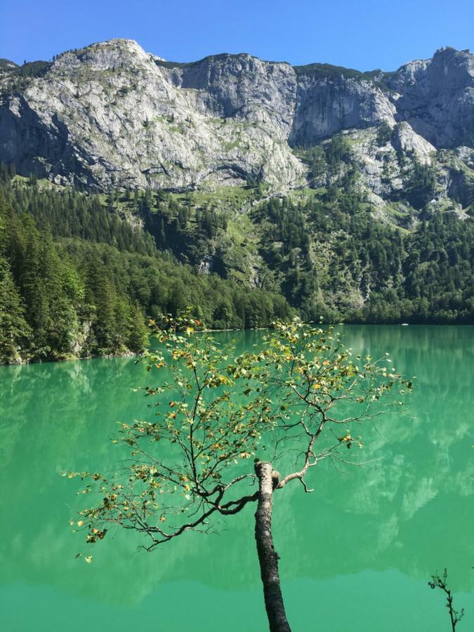 Ferienwohnung Kogelblick Gosau Exteriér fotografie