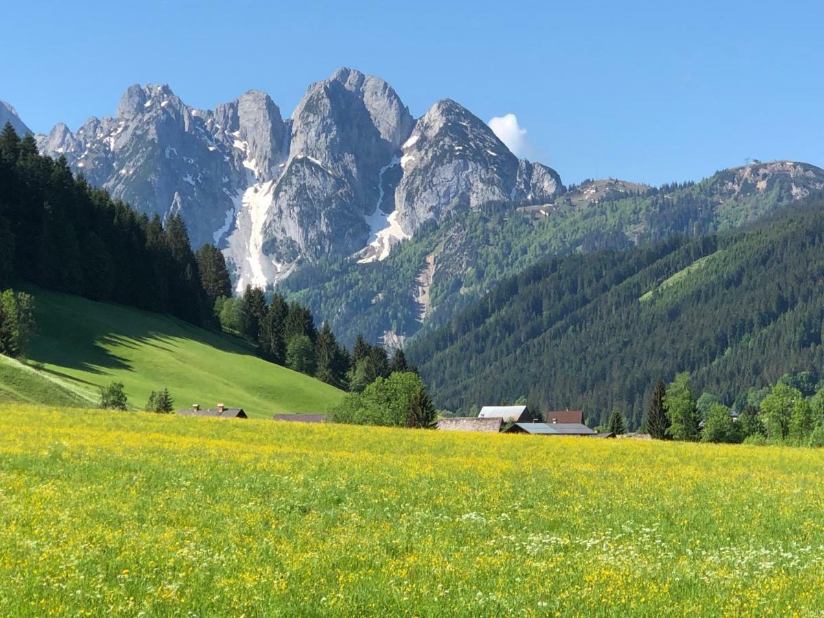 Ferienwohnung Kogelblick Gosau Exteriér fotografie